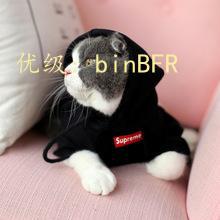 ѹ