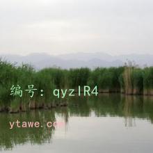 ̨